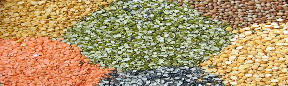 Exporters and Suppliers of Pulses like Green Moong Dals, Moong Dal, Masoor, Toor Lemon and many Others 